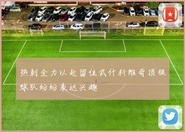 热刺全力以赴留住武什科维奇顶级球队纷纷表达兴趣