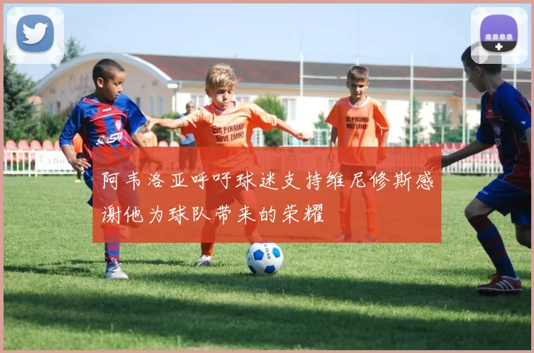 阿韦洛亚呼吁球迷支持维尼修斯感谢他为球队带来的荣耀